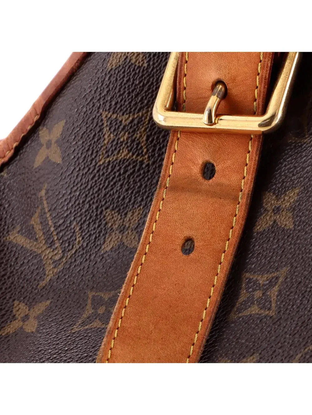Louis Vuitton Galliera Handbag Canvas #298563L12B